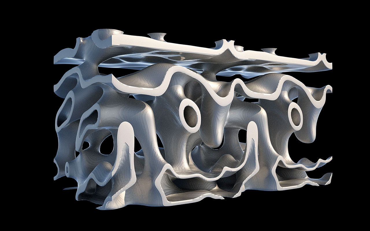 Voxel geometries: - Reaction-diffusion form (Gray-Scott process)